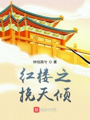 红楼之挽天倾笔趣下载