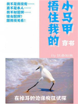 裹紧我的小马甲