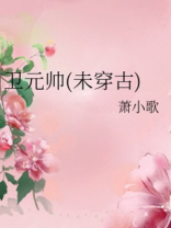 卫元帅(未穿古) 小说TXT