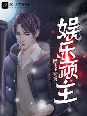 娱乐玩家 小说