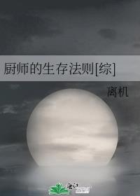 厨师的生活形态