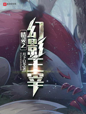 幻影之塔有什么精灵