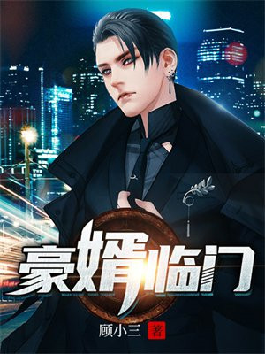 豪婿临门全文阅读