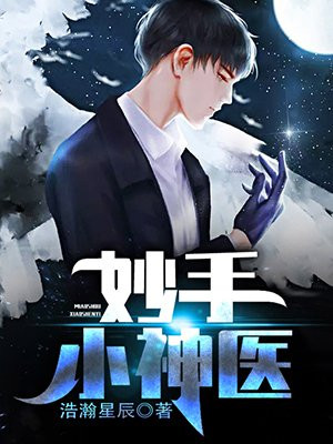 妙手小神医小说