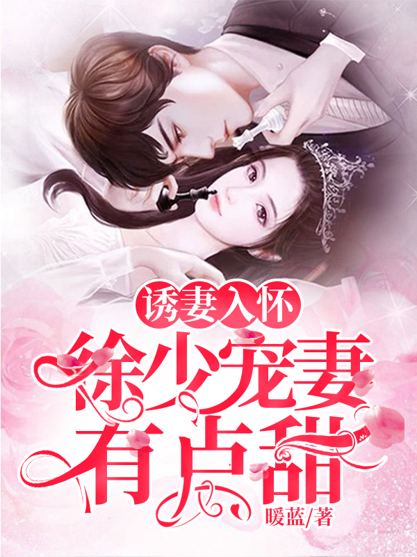 诱妻入怀,徐少宠妻有点甜免费阅读