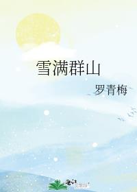 雪满群山 小说