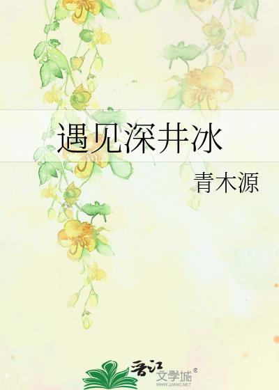 遇见深井冰