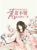 为妻不贤 梨花瘦