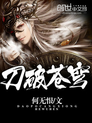 刀破苍穹何无恨在线阅读