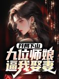 开局下山:九位师娘逼我娶妻