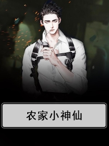农家小神碗 小说
