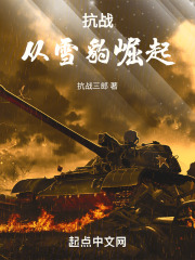 抗战从雪豹崛起免费阅读