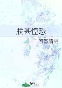 朕甚惶恐 小说