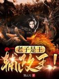 老子是王,辅政王!