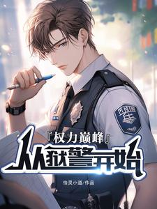 权力巅峰书籍