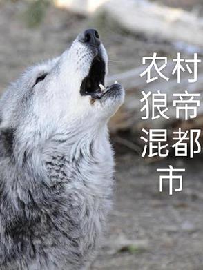 农村小子混都市