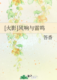 [火影]风响与雷鸣