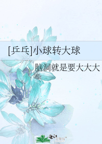 [乒乓]小球转大球