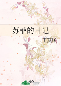 苏菲的日记