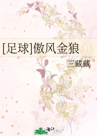 [足球]傲风金狼