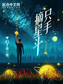 只手摘星斗作者