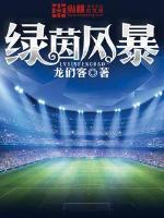 绿茵风暴TXT下载