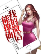 我的微信能撩仙 小说