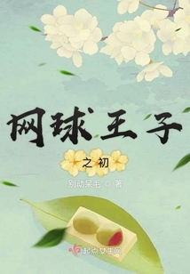 网球王子之初