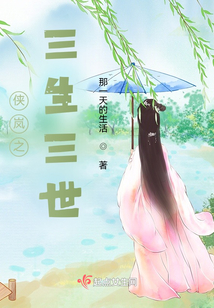 侠岚之三生三世
