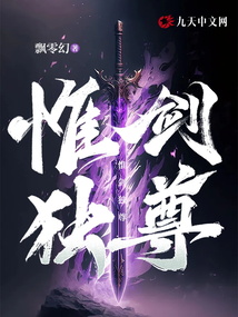 霸剑独尊 小说