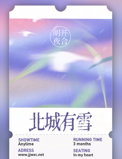 北城有雪小说简介