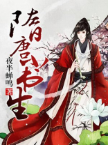 隋唐小书生