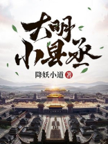大明小县丞txt