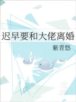 迟早要和大佬离婚