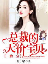 一胎二宝:总裁的天价宝贝