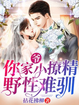 爷,你家小撩精野性难驯 小说简介
