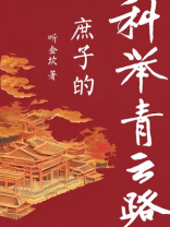 庶子的青云路科举TXT下载百度云