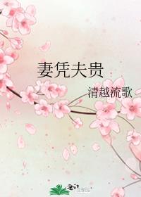 妻凭夫贵全文免费阅读