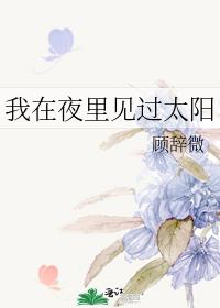 我在夜里见过太阳