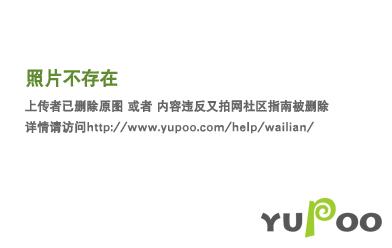 我的道侣天下第一宝书网