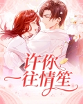 许你一往情笙