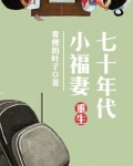 重生七十年代小福妻