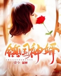镇国神婿