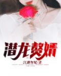 潜龙赘婿