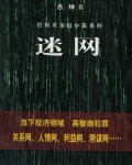 迷网