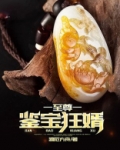 至尊鉴宝狂婿