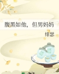 腹黑如他,但男妈妈
