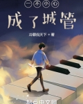 一不小心成了城管