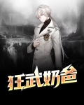 狂武奶爸