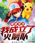 宝可梦：我成立了火箭队
